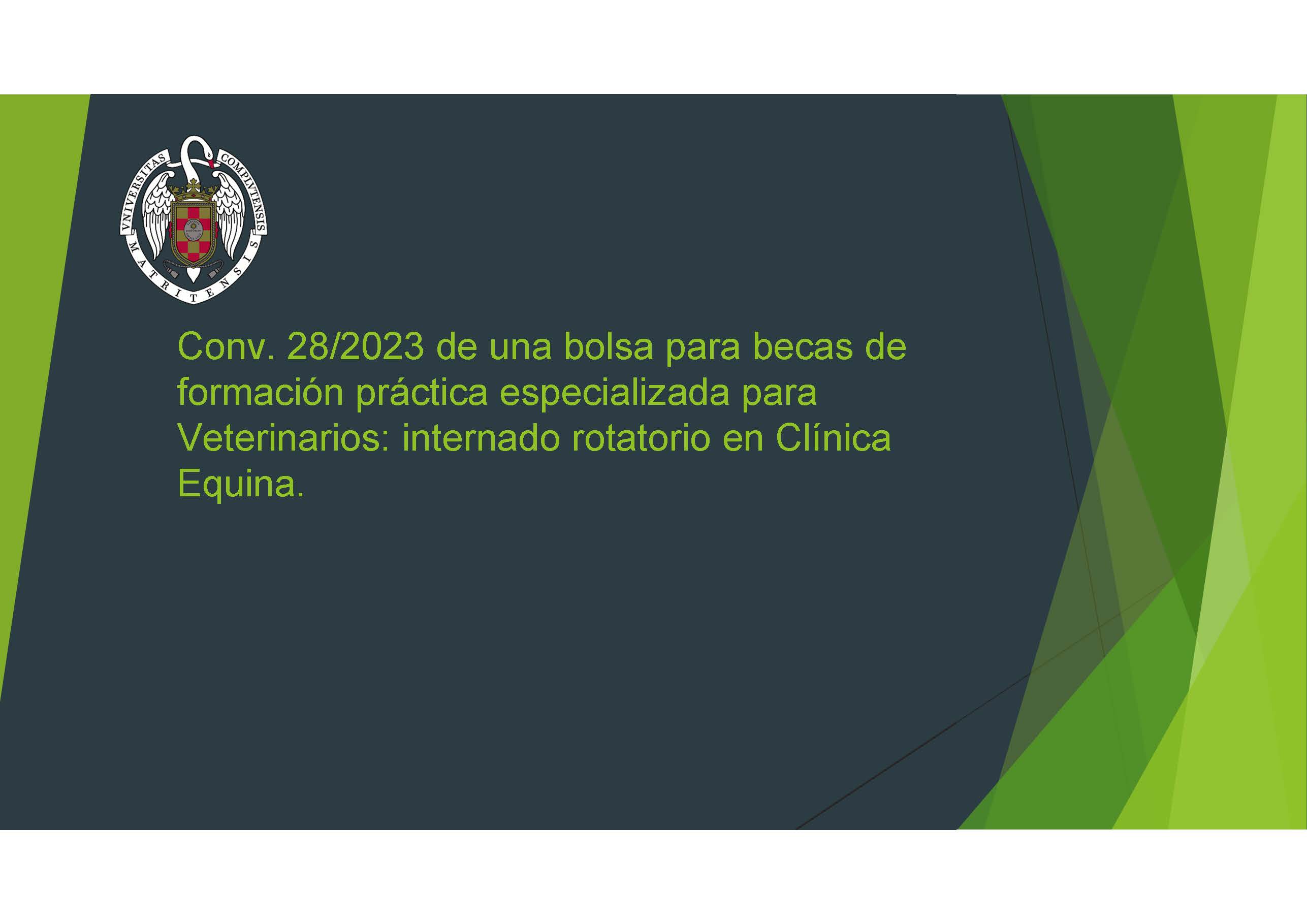 Conv. 28/2023 de una bolsa para becas de formación práctica especializada para Veterinarios: internado rotatorio en Clínica Equina